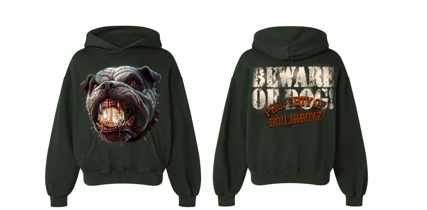 Beware Of! Hoodie